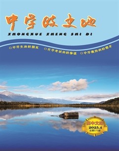 中学政史地·高中文综