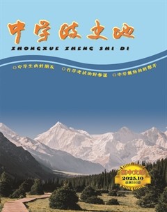 中学政史地·高中文综