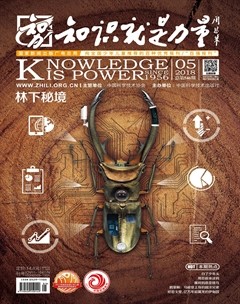 2018年第5期