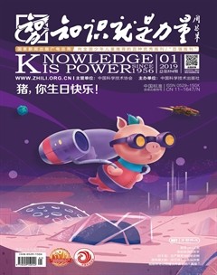 2019年第1期