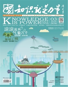 2020年第3期