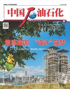 中國石油石化