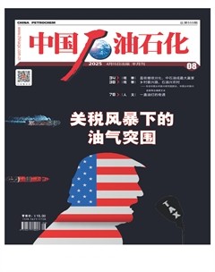 中國石油石化
