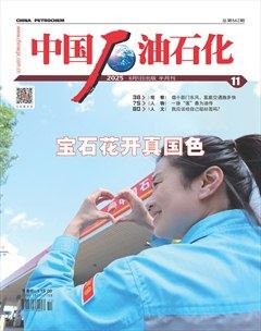 中国石油石化
