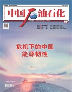中国石油石化