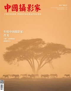 中国摄影家