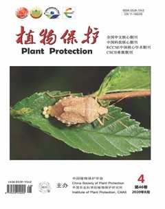植物保护杂志封面