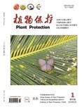 植物保护