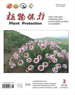 植物保护