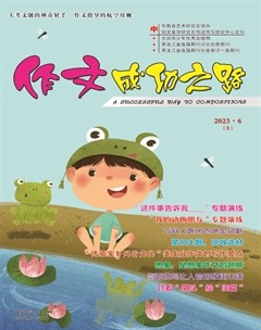 作文成功之路·小学