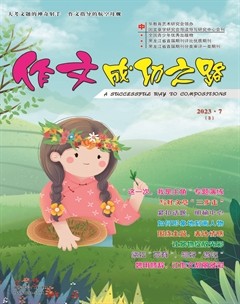 作文成功之路·小学