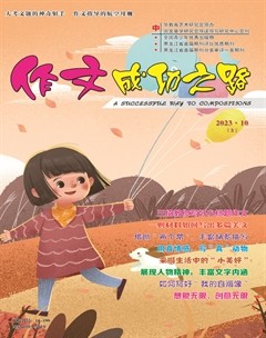 作文成功之路·小学