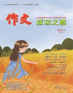 作文成功之路·小學