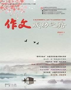 作文成功之路·高考冲刺