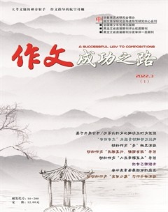 作文成功之路·高考冲刺