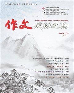 作文成功之路·高考冲刺