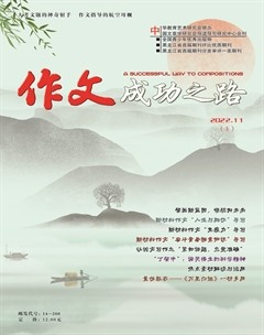 作文成功之路·高考冲刺