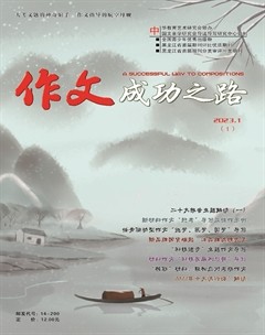 作文成功之路·高考冲刺