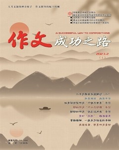 作文成功之路·高考冲刺