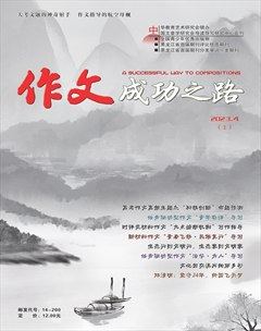 作文成功之路·高考冲刺