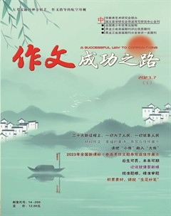 作文成功之路·高考冲刺