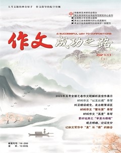 作文成功之路·高考冲刺