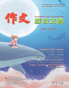 作文成功之路·高考冲刺