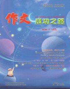 作文成功之路·高考冲刺