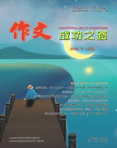 作文成功之路·高考冲刺