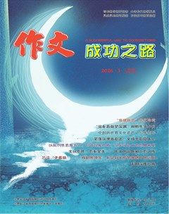 作文成功之路·高考冲刺