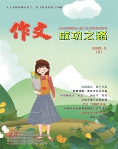 作文成功之路·中考冲刺