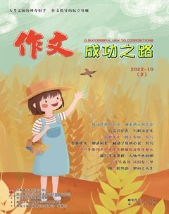 作文成功之路·中考冲刺