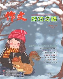 作文成功之路·中考冲刺