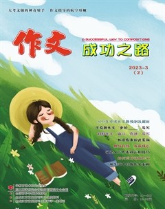 作文成功之路·中考冲刺