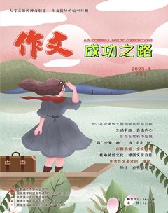 作文成功之路·中考冲刺
