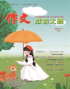 作文成功之路·中考冲刺
