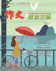 作文成功之路·中考冲刺