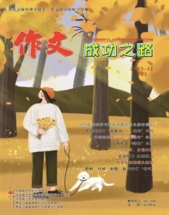 作文成功之路·中考冲刺