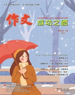 作文成功之路·中考冲刺