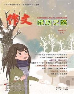 作文成功之路·中考冲刺