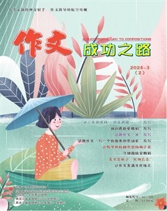 作文成功之路·中考冲刺