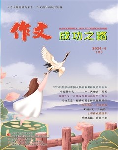 作文成功之路·中考冲刺