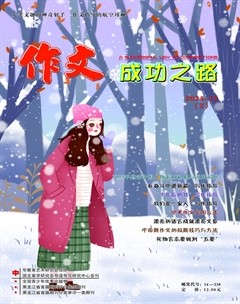 作文成功之路·中考冲刺