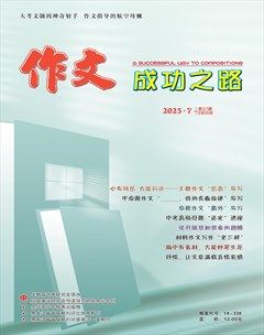 作文成功之路·中考冲刺