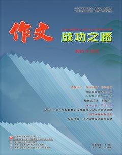 作文成功之路·中考冲刺