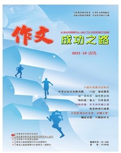 作文成功之路·中考冲刺