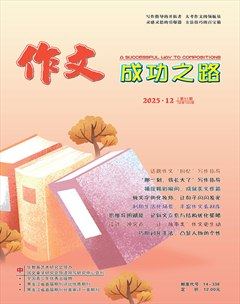 作文成功之路·中考冲刺