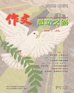 作文成功之路·中考冲刺