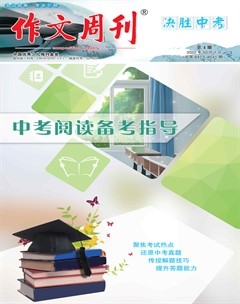 作文周刊·决胜中考