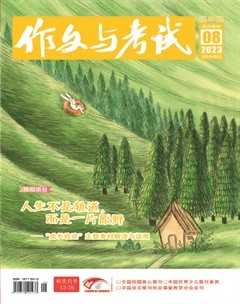 作文与考试·初中版